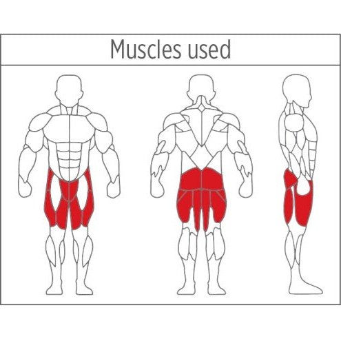XDEGREE XPC-2025 Leg Extension | Leg Curl