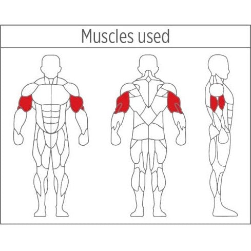 XDEGREE XPC-2027 Bicep | Tricep Curl