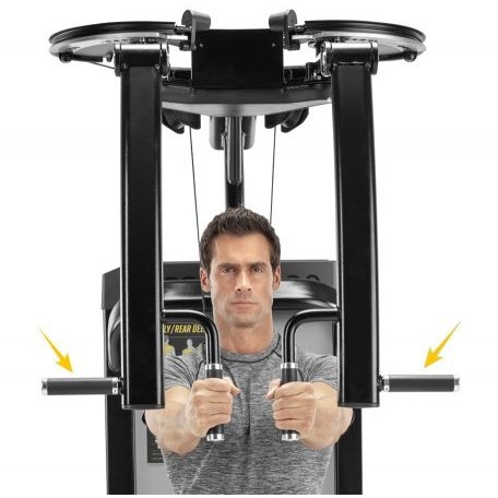PEC FLY/REAR DELT