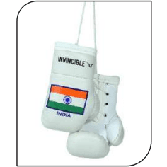 INVINCIBLE INDIA MINI BOXING GLOVES