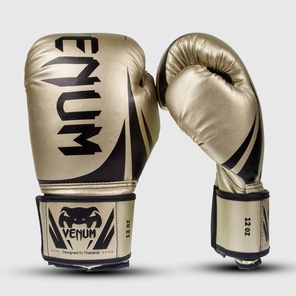 CHALLENGER 2.0 BOXING GLOVES
