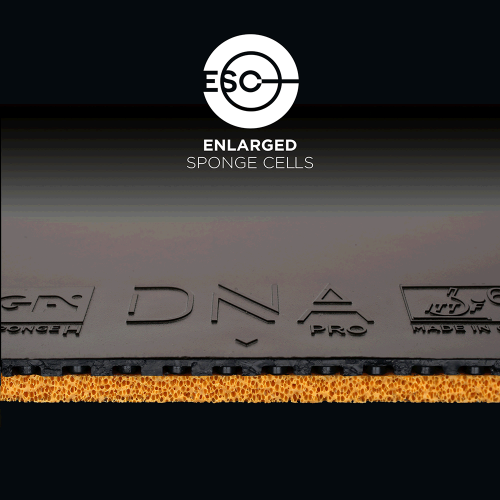 STIGA Stiga DNA Pro S