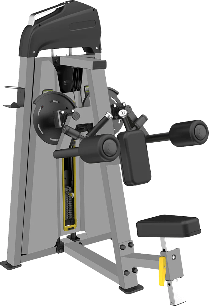 CE 3005 Lateral Raise