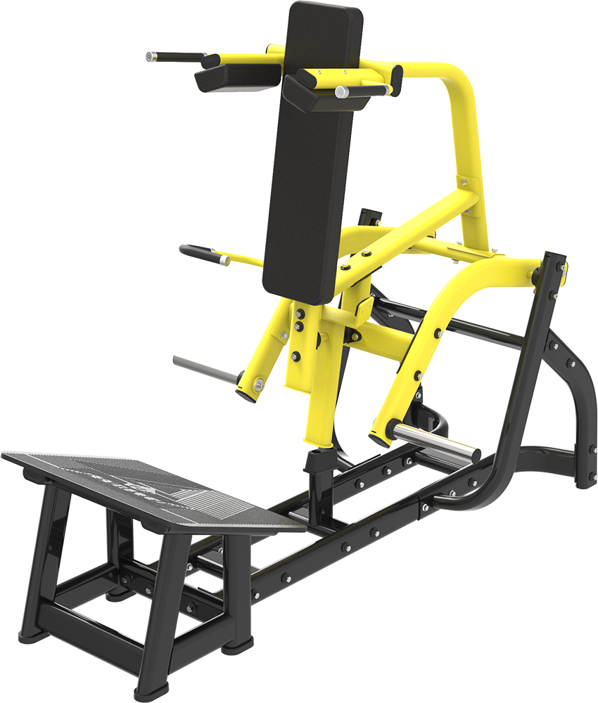 XDEGREE XTN 71 V Squat