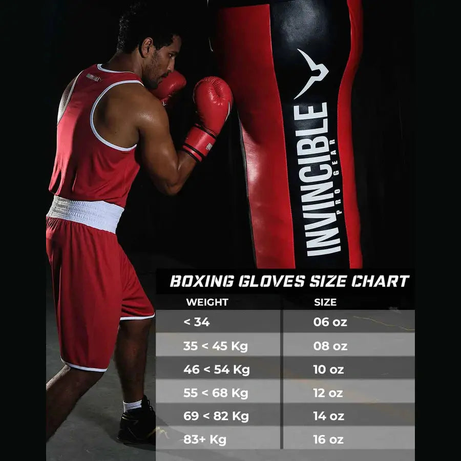 Invincible Agni Amateur Competition Gloves