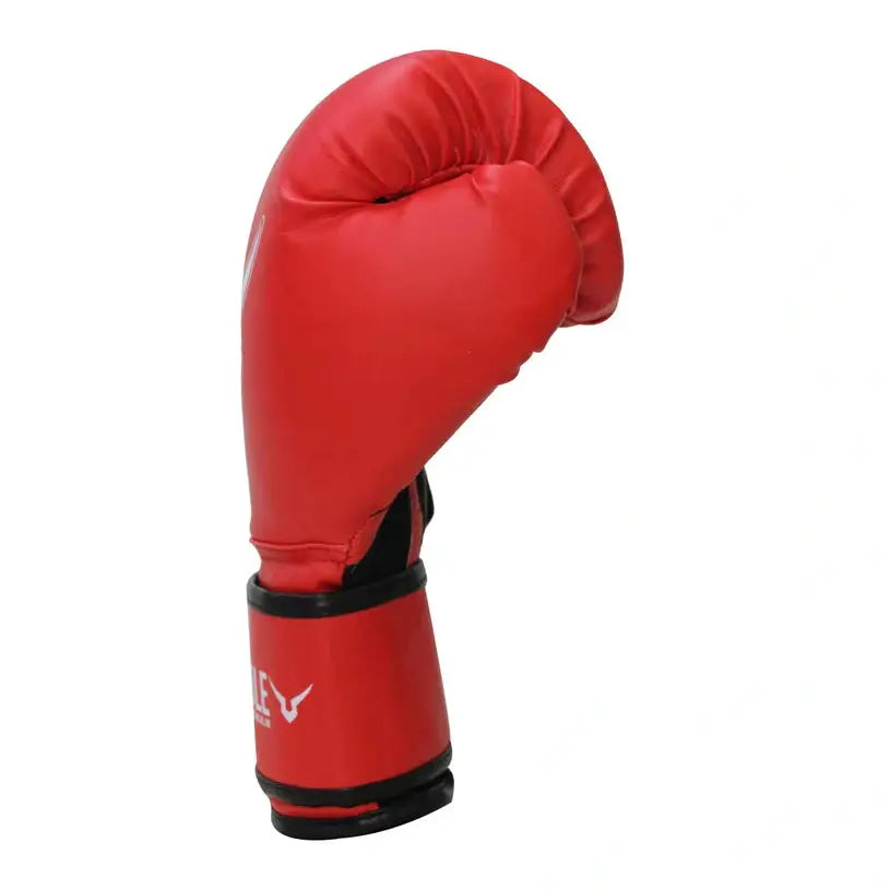 Invincible Classic Training Gloves