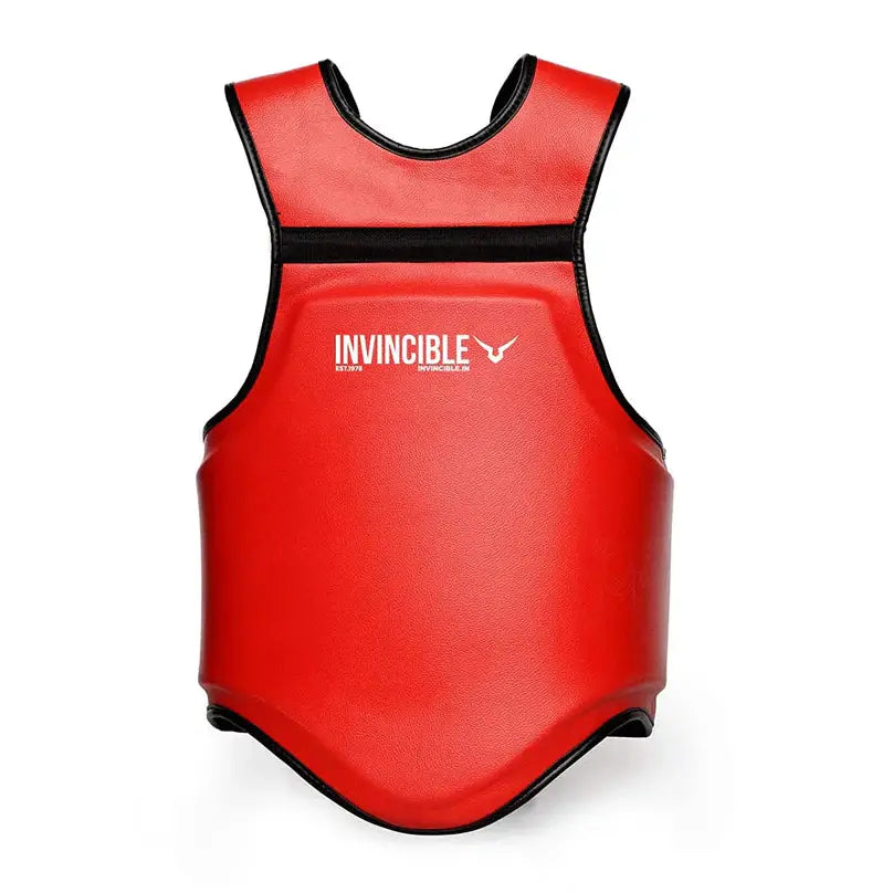 Invincible Reversible Wushu Chest Guard