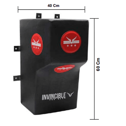 INVINCIBLE WALL MOUNT HEAVY BAG