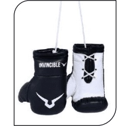 INVINCIBLE MINI BOXING GLOVES 3 INCHES