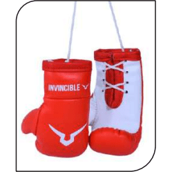 INVINCIBLE MINI BOXING GLOVES 3 INCHES