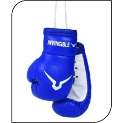 INVINCIBLE MINI BOXING GLOVES 3 INCHES