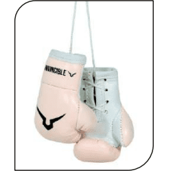 INVINCIBLE MINI BOXING GLOVES 3 INCHES