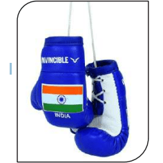 INVINCIBLE INDIA MINI BOXING GLOVES