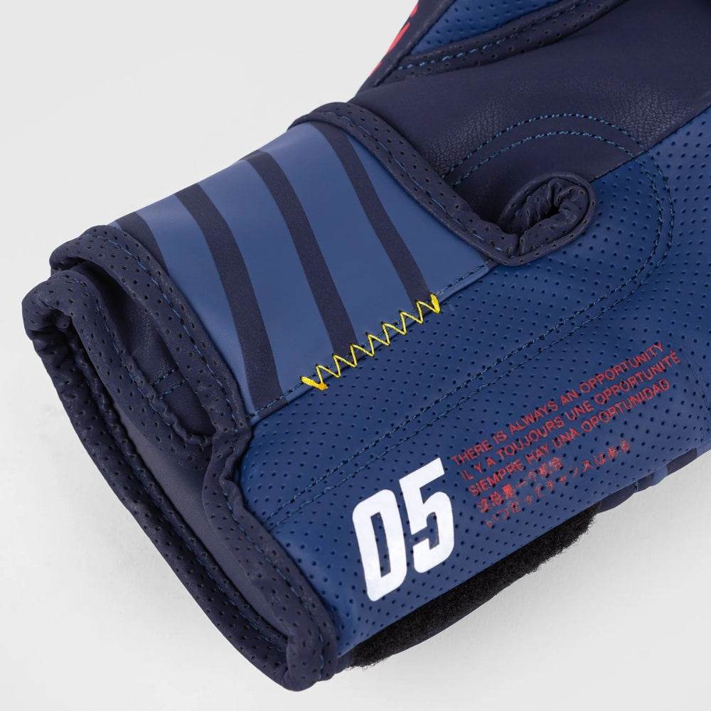 SPORT 05 BOXING GLOVES