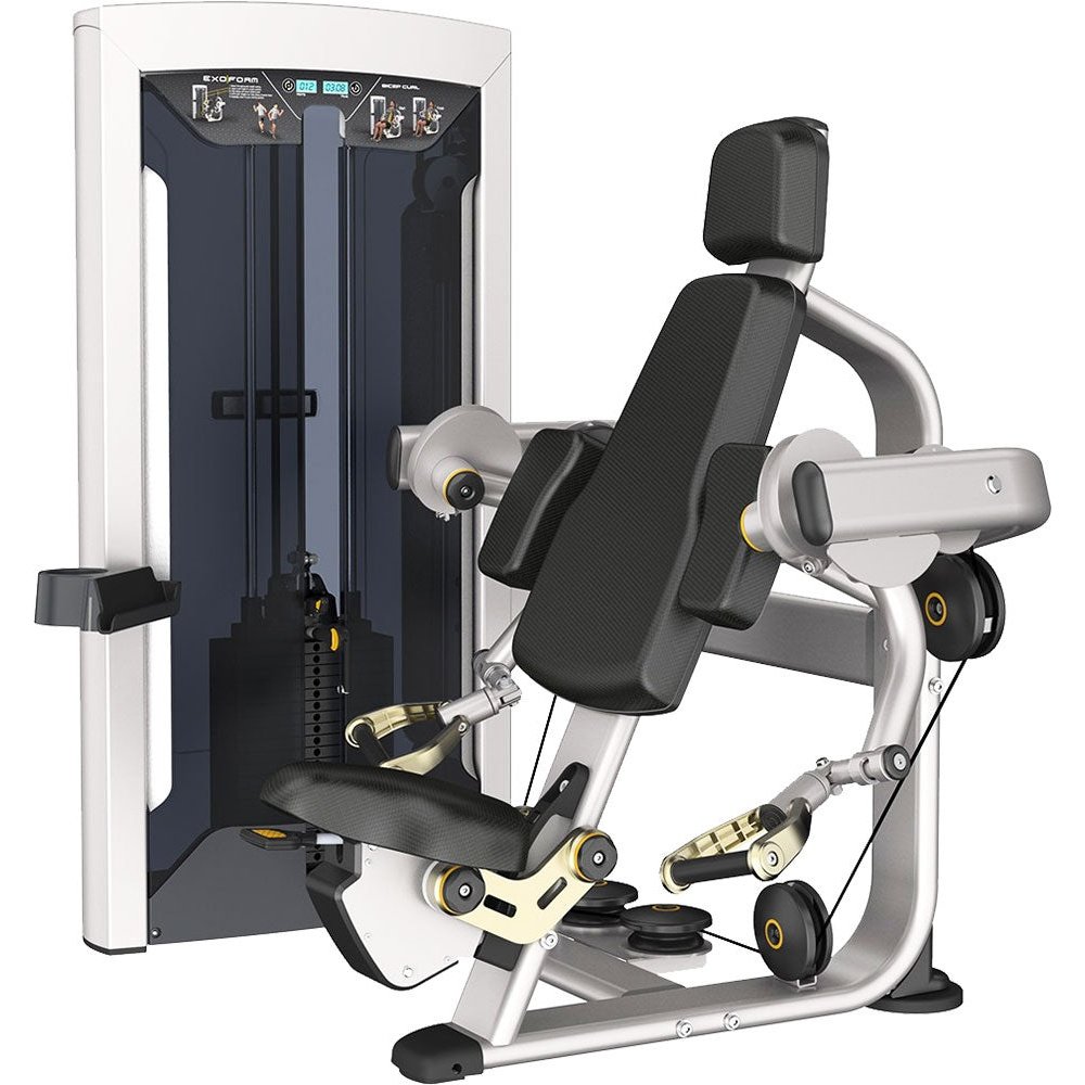 Impluse CFE 9703 Arm Curl