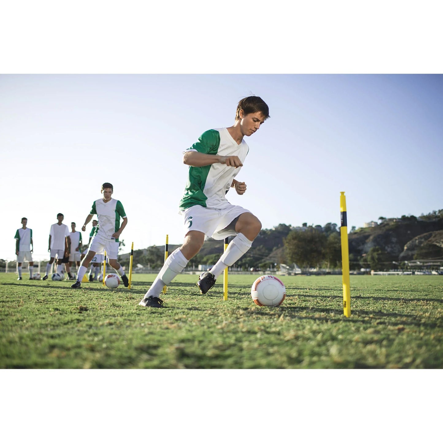 Pro Training Agility Poles