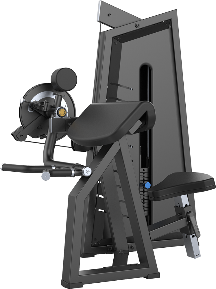 Coscofitness CJN 3087 Biceps | Triceps